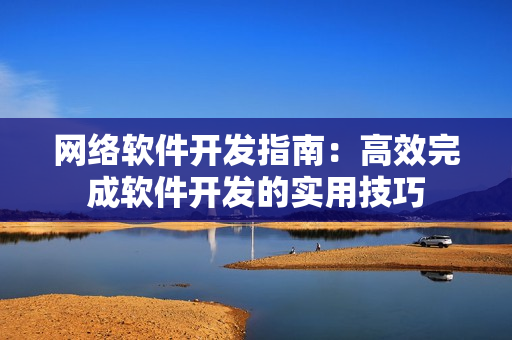 网络软件开发指南：高效完成软件开发的实用技巧