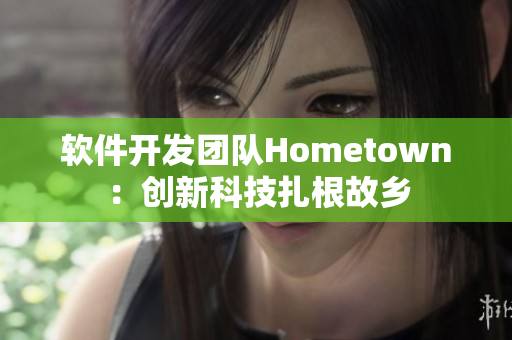 软件开发团队Hometown：创新科技扎根故乡