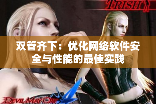 双管齐下：优化网络软件安全与性能的最佳实践