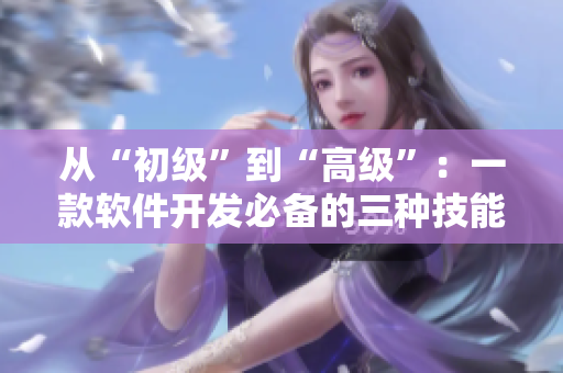 从“初级”到“高级”：一款软件开发必备的三种技能等级