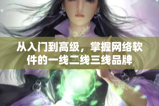 从入门到高级，掌握网络软件的一线二线三线品牌