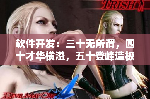 软件开发：三十无所谓，四十才华横溢，五十登峰造极！