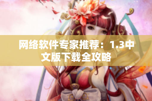 网络软件专家推荐：1.3中文版下载全攻略