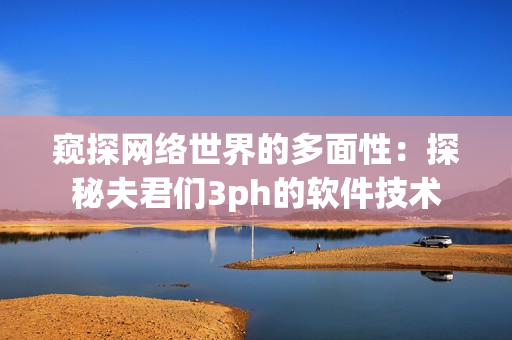 窥探网络世界的多面性：探秘夫君们3ph的软件技术