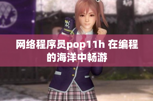 网络程序员pop11h 在编程的海洋中畅游