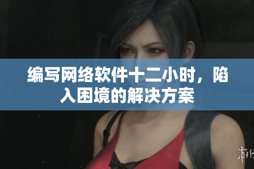 编写网络软件十二小时，陷入困境的解决方案