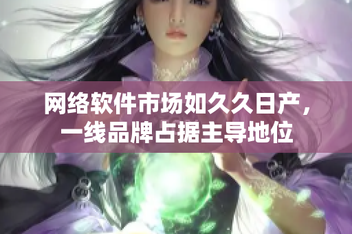 网络软件市场如久久日产，一线品牌占据主导地位