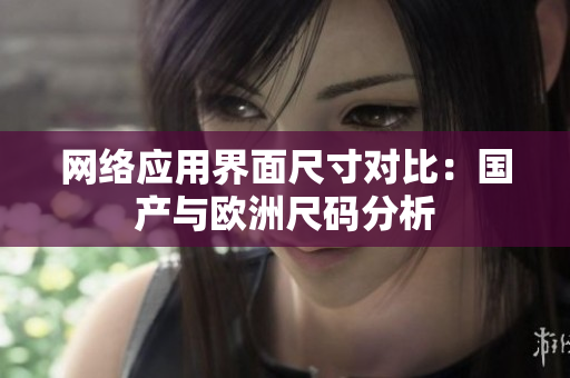 网络应用界面尺寸对比：国产与欧洲尺码分析