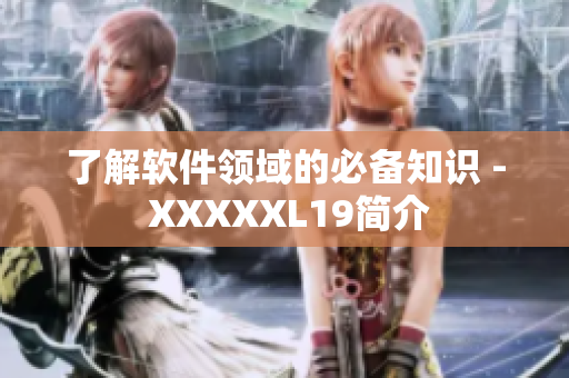 了解软件领域的必备知识 - XXXXXL19简介