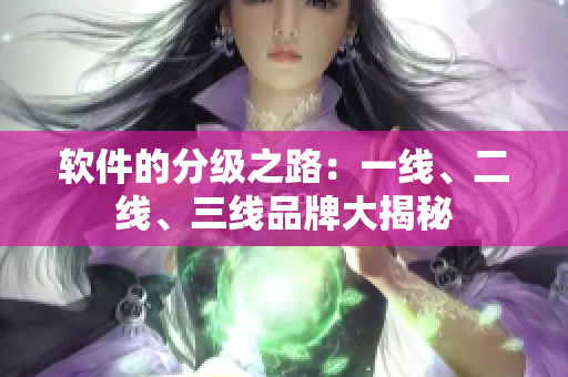 软件的分级之路：一线、二线、三线品牌大揭秘