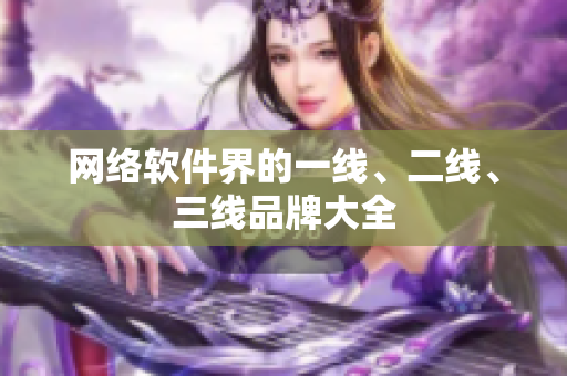 网络软件界的一线、二线、三线品牌大全