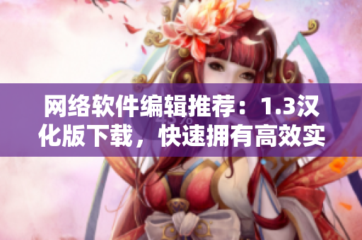 网络软件编辑推荐：1.3汉化版下载，快速拥有高效实用软件