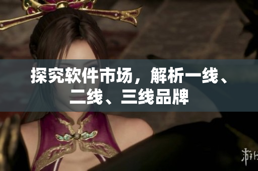 探究软件市场，解析一线、二线、三线品牌