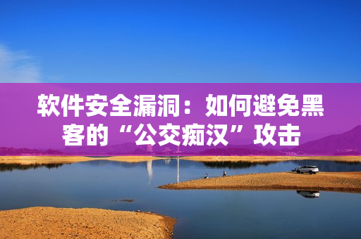 软件安全漏洞：如何避免黑客的“公交痴汉”攻击