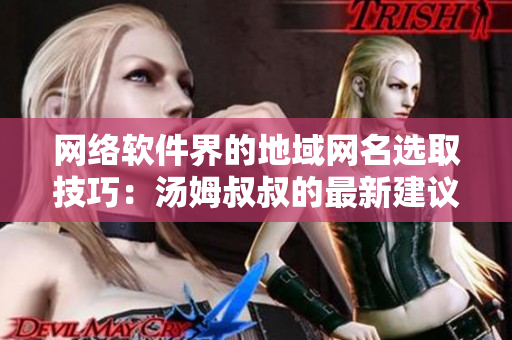 网络软件界的地域网名选取技巧：汤姆叔叔的最新建议
