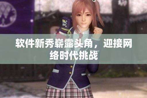 软件新秀崭露头角，迎接网络时代挑战