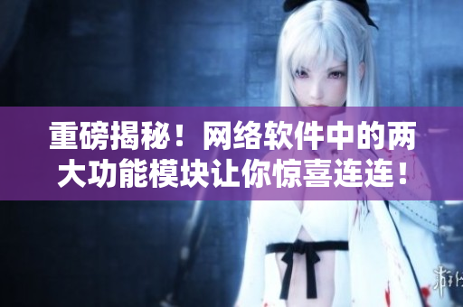 重磅揭秘！网络软件中的两大功能模块让你惊喜连连！