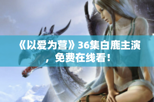 《以爱为营》36集白鹿主演，免费在线看！
