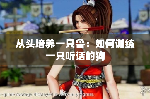 从头培养一只鲁：如何训练一只听话的狗