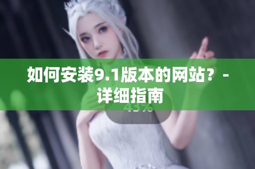如何安装9.1版本的网站？- 详细指南