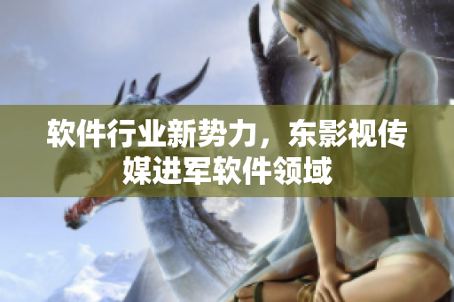 软件行业新势力，东影视传媒进军软件领域