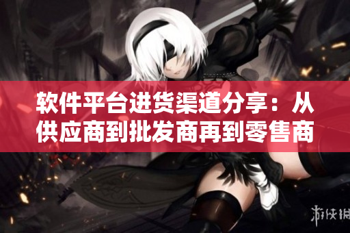 软件平台进货渠道分享：从供应商到批发商再到零售商，全套解析