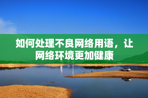 如何处理不良网络用语，让网络环境更加健康