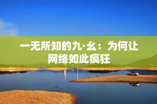 一无所知的九·幺：为何让网络如此疯狂