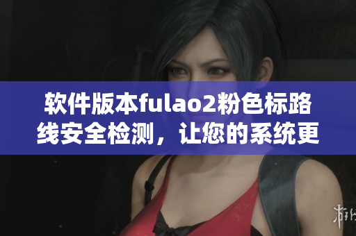 软件版本fulao2粉色标路线安全检测，让您的系统更加稳定