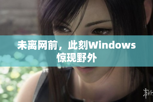 未离网前，此刻Windows惊现野外