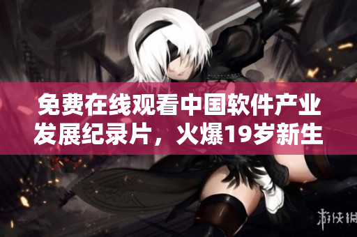 免费在线观看中国软件产业发展纪录片，火爆19岁新生代！