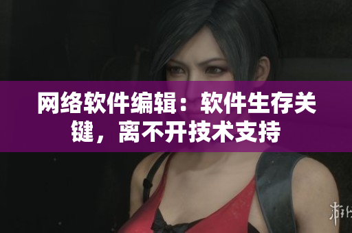 网络软件编辑：软件生存关键，离不开技术支持