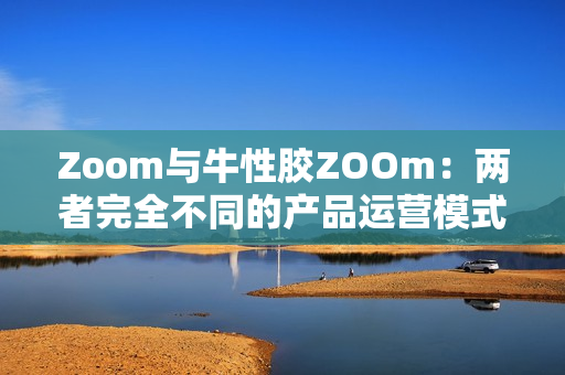 Zoom与牛性胶ZOOm：两者完全不同的产品运营模式