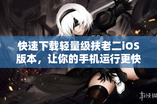 快速下载轻量级扶老二iOS版本，让你的手机运行更快