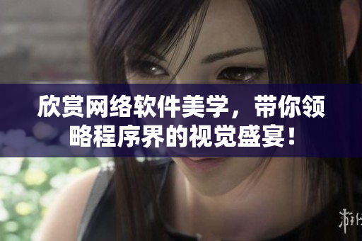 欣赏网络软件美学，带你领略程序界的视觉盛宴！