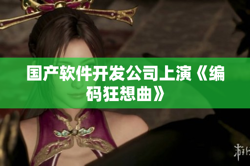 国产软件开发公司上演《编码狂想曲》