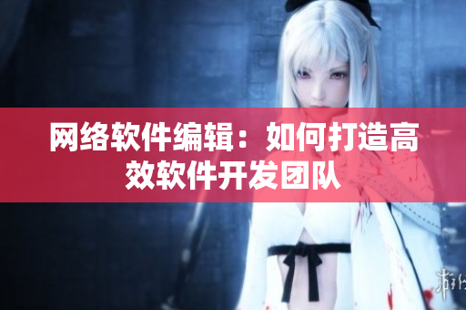 网络软件编辑：如何打造高效软件开发团队