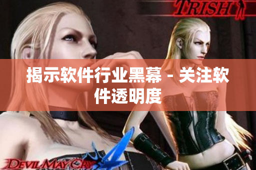 揭示软件行业黑幕 - 关注软件透明度