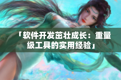 「软件开发茁壮成长：重量级工具的实用经验」