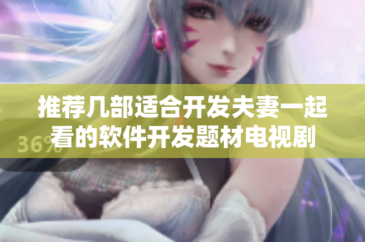 推荐几部适合开发夫妻一起看的软件开发题材电视剧