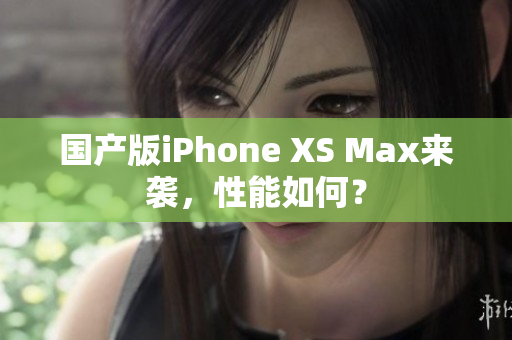 国产版iPhone XS Max来袭，性能如何？