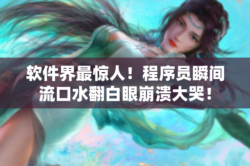 软件界最惊人！程序员瞬间流口水翻白眼崩溃大哭！