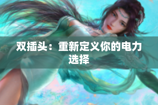 双插头：重新定义你的电力选择