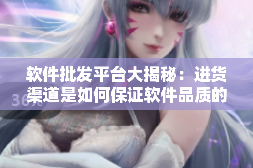 软件批发平台大揭秘：进货渠道是如何保证软件品质的？