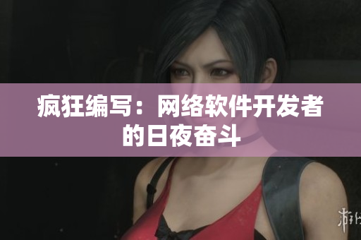 疯狂编写：网络软件开发者的日夜奋斗