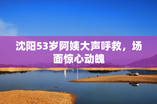 沈阳53岁阿姨大声呼救，场面惊心动魄
