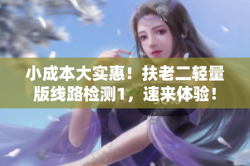 小成本大实惠！扶老二轻量版线路检测1，速来体验！