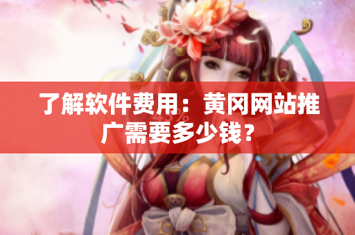 了解软件费用：黄冈网站推广需要多少钱？
