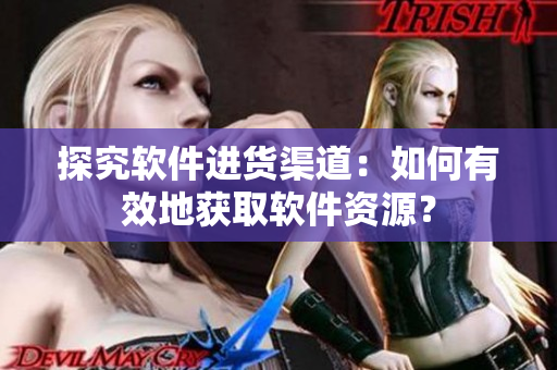 探究软件进货渠道：如何有效地获取软件资源？