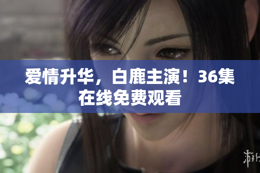 爱情升华，白鹿主演！36集在线免费观看